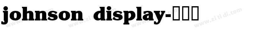 johnson display字体转换